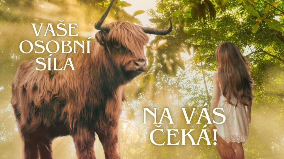 Vaše síla čeká!