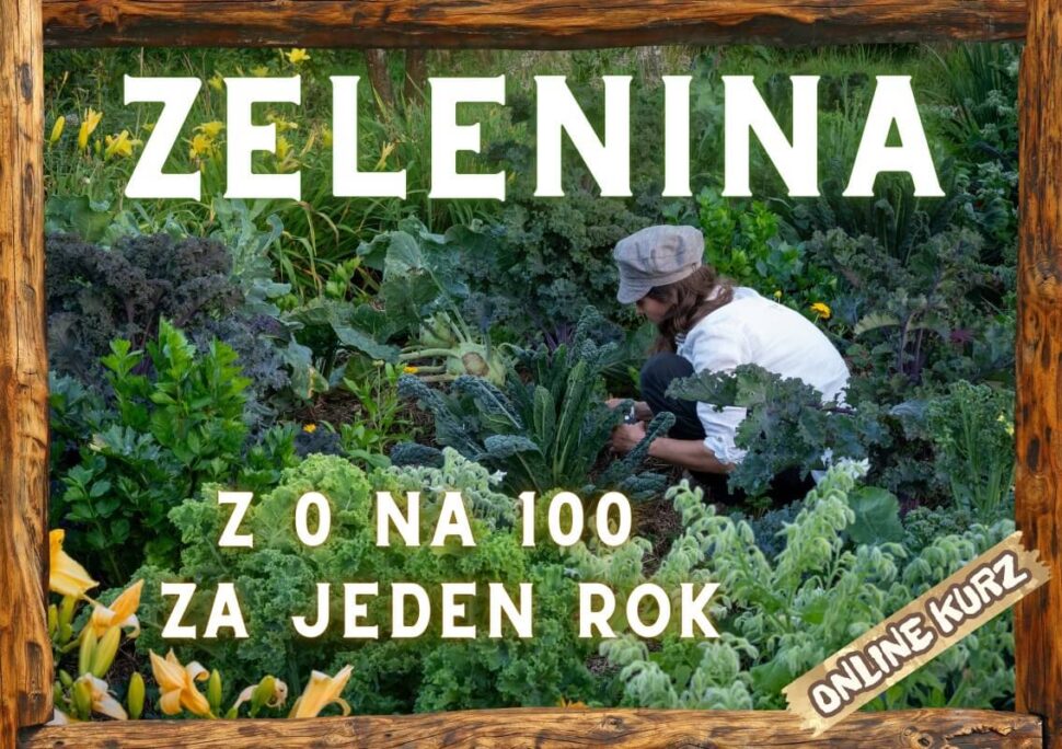Vítejte v Online Zahradnictví: Vaše Zahrada Začíná Zde