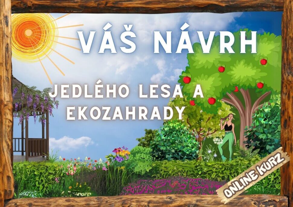 Vítejte v Online Zahradnictví: Vaše Zahrada Začíná Zde