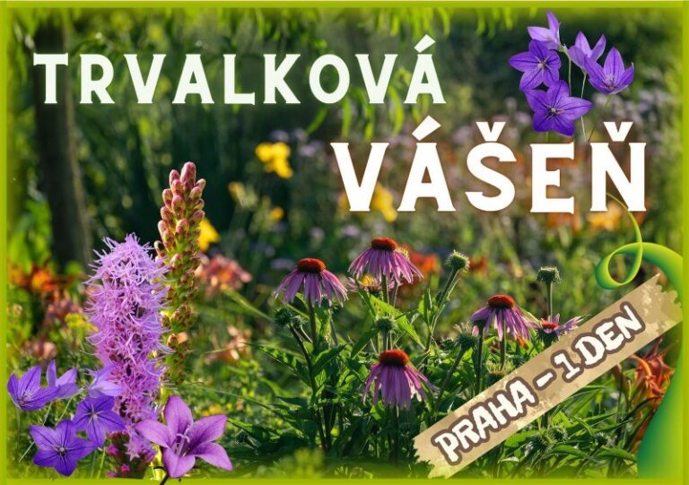 Trvalková vášeň