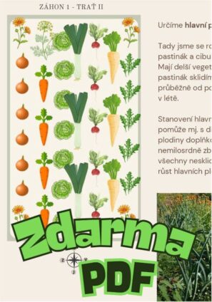 PDF zdarma ke stažení.