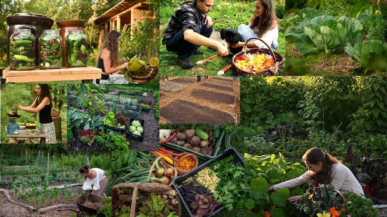 Pěstování si vlastního jídla je krásný životní styl.