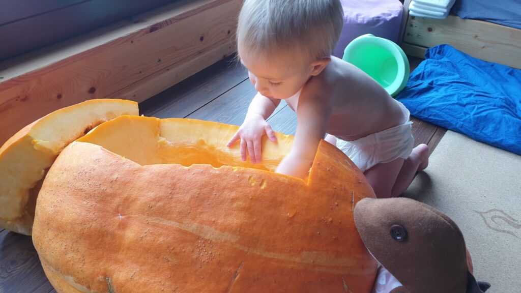 Svobodová Katarína, permakulturní rodinka, foto 3